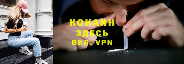 марки lsd Бородино